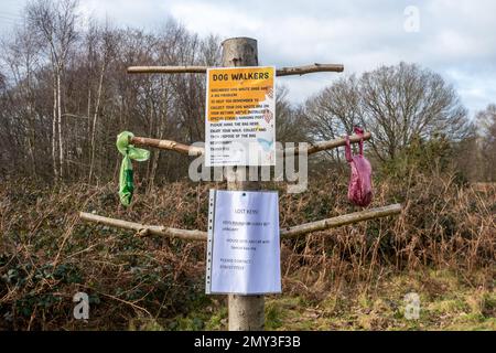 Hängepfahl für Hundefreunde, um Hundekacke aufzuhängen, während sie spazieren gehen, Puttenham Common, Surrey, England, Großbritannien Stockfoto