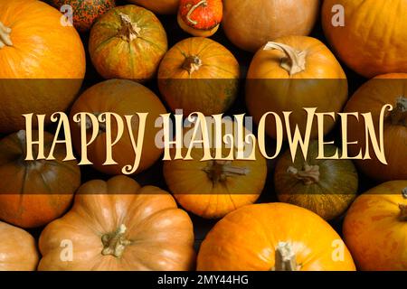 „Happy Halloween“-Grußkartendesign. Viele frische Kürbisse, Draufsicht Stockfoto