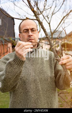 Kaukasischer Gärtner mittleren Alters, der Bäume im Frühling im Garten schneidet Stockfoto