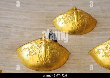Eine Taube sitzt auf einer goldenen Konsolenschüssel eines Brunnens an einer Wand, einem Denkmal in Kiew Stockfoto