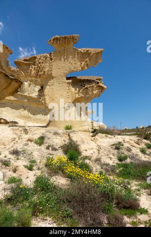 Sandsteinformen, Erosionen oder Gredas von Bolnuevo in Mazarron, Murcia, Spanien. Auch bekannt als die umgebaute Stadt Bolnuevo. Stockfoto