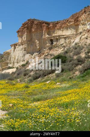 Sandsteinformen, Erosionen oder Gredas von Bolnuevo in Mazarron, Murcia, Spanien. Auch bekannt als die umgebaute Stadt Bolnuevo. Stockfoto