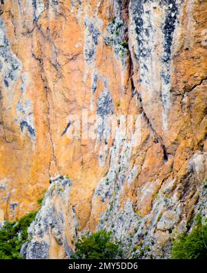 Nicht erkannt (Schwarzstorch?) Vögel fliegen im Adlertal in Dedoplitskaro. Georgien. Südliche Region Kakheti Stockfoto