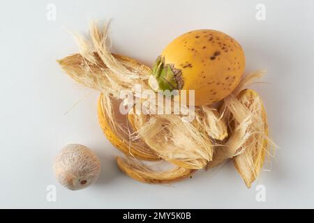 Areka-Nuss mit frischer und gelber Hülse, Früchte der Areka-Palme, Areka-Nusspalme oder Betelpalme, auf weiß isolierte tropische und kommerziell wichtige Früchte Stockfoto