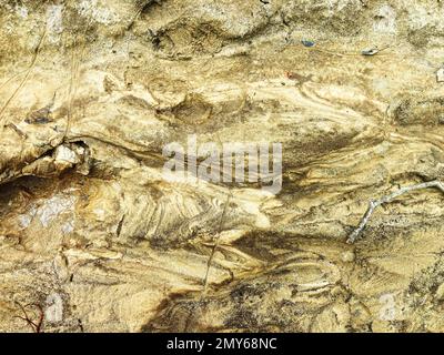 Hintergrundtexturierung Studio-Szene mit Waldsandgrund, Textur des Waldbodens bereit für das Produkt. Sand verschiedener Streifen Stockfoto