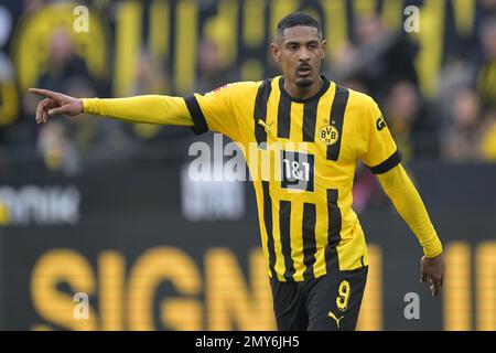 DORTMUND - Sebastien Haller von Borussia Dortmund während des Bundesliga-Spiels zwischen Borussia Dortmund und SC Freiburg am Signal Iduna Park am 4. Februar 2023 in Dortmund. AP | niederländische Höhe | GERRIT VON KÖLN Stockfoto