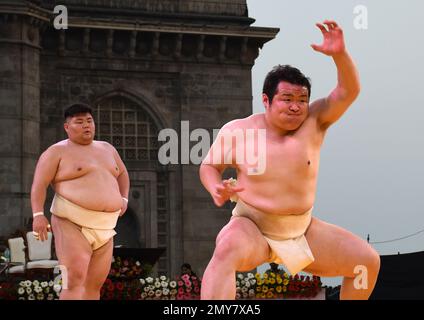 Mumbai, Indien. 03. Februar 2023. Japanische Sumo-Ringer demonstrieren einen Schritt bei der Unterzeichnung von Memorandom of Understanding (MOU) zwischen Maharashtra und der Präfektur Wakayama, Japan, in Mumbai. Japanisches Sumo-Ringen und Kushti (traditionelles Ringen) waren die besondere Attraktion bei der Veranstaltung am Gateway of India in Mumbai. (Foto: Ashish Vaishnav/SOPA Images/Sipa USA) Guthaben: SIPA USA/Alamy Live News Stockfoto