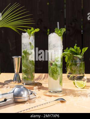 Hausgemachter Mojito Cocktail im Garten an einem sonnigen Tag Stockfoto