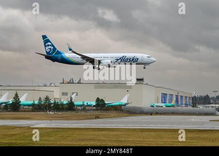 Everett, WA, USA - 3. Februar 2023; Alaska Airlines Boeing 737 landet vor dem Flugzeughersteller-Werk in Paine Field in Everett, WA Stockfoto