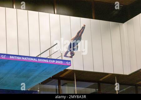 Hannah Newbrook in Aktion beim Women’s Platform Final am dritten Tag des British National Diving Cup im Royal Commonwealth Pool in Edinburgh. Foto: Samstag, 4. Februar 2023. Stockfoto