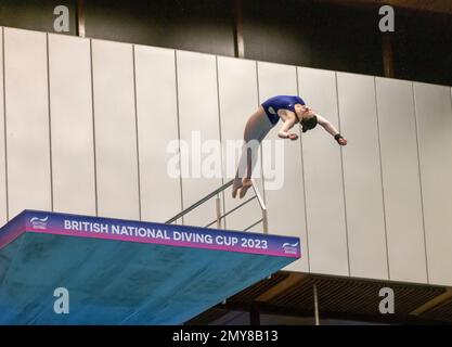 Hannah Newbrook in Aktion beim Women’s Platform Final am dritten Tag des British National Diving Cup im Royal Commonwealth Pool in Edinburgh. Foto: Samstag, 4. Februar 2023. Stockfoto