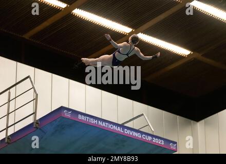 Hannah Newbrook in Aktion beim Women’s Platform Final am dritten Tag des British National Diving Cup im Royal Commonwealth Pool in Edinburgh. Foto: Samstag, 4. Februar 2023. Stockfoto