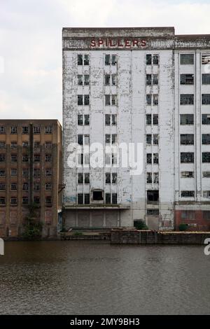 Millennium Mills - Royal Victoria Docks - Docklands, London Stockfoto