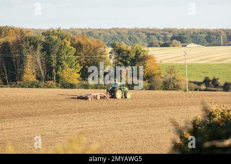 Traktor Pflüge ein Feld im Frühjahr begleitet von Saatkrähen Stockfoto