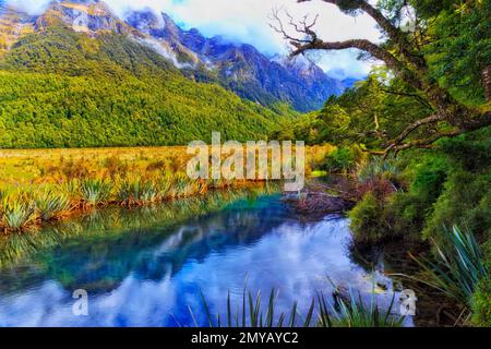 Malerische, ruhige Seen im Milford Sound fiordland von Neuseeland - Berglandschaft. Stockfoto