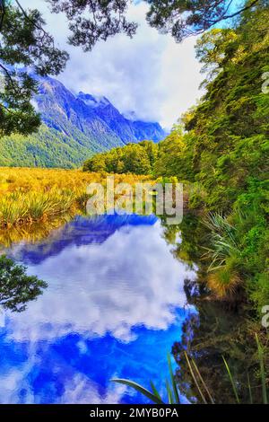 Malerische Spiegelseen im Milford Sound Valley von Fiordland in Neuseeland - beliebtes Reiseziel und Landschaft. Stockfoto