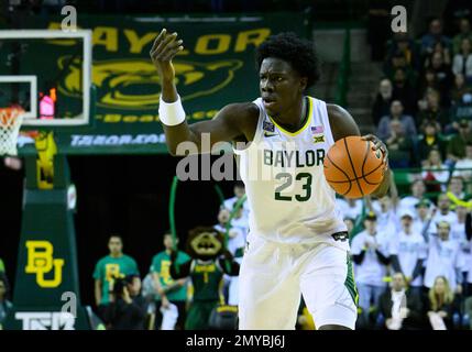 Ferrell Center Waco, Texas, USA. 4. Februar 2023. In der 1. Hälfte des NCAA-Basketballspiels zwischen den Texas Tech Red Raiders und den Baylor Bears im Ferrell Center Waco, Texas, spielt Baylor Bär Jonathan Tchatchoua (23). Matthew Lynch/CSM/Alamy Live News Stockfoto