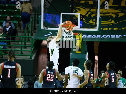 Ferrell Center Waco, Texas, USA. 4. Februar 2023. In der 2. Hälfte des NCAA-Basketballspiels zwischen den Texas Tech Red Raiders und den Baylor Bears im Ferrell Center Waco, Texas, spielt Baylor Bears Forward Zach Loveday (32). Matthew Lynch/CSM/Alamy Live News Stockfoto