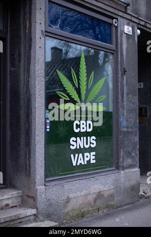 Tallinn, Estland - 4. Februar 2023: Schaufenster des CBD-Shops in Tallinn mit legalen CBD-Ölen und anderen Hanfprodukten. Stockfoto