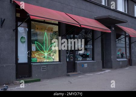 Tallinn, Estland - 4. Februar 2023: Schaufenster des CBD-Shops in Tallinn mit legalen CBD-Ölen und anderen Hanfprodukten. Stockfoto