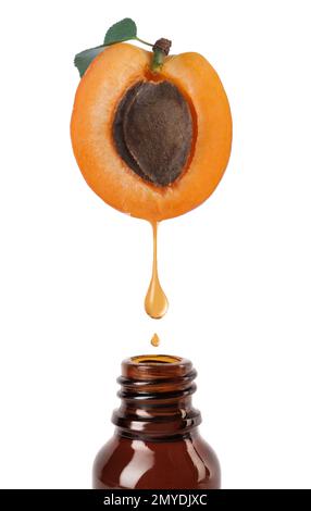 Aprikosenkernöl tropft von der Hälfte frischer Früchte in eine Glasflasche auf weißem Hintergrund Stockfoto