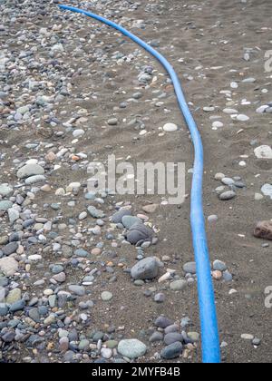 Kabel auf schwarzem Sand. Das Kabel ragt aus dem Boden heraus. Elektrische Kommunikation am Strand. Industrie. Unfertige Arbeit Stockfoto