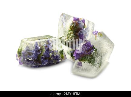 Eiswürfel mit Blumen auf weißem Hintergrund Stockfoto