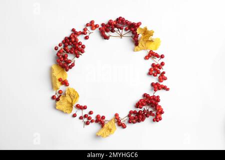 Rote Beeren und Blätter in Form eines Kranzes auf weißem Hintergrund, flach liegend mit Platz für Text. Herbstästhetik Stockfoto