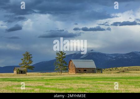 Alte Scheune und Hütte unter Mount Baldy in der Nähe von townsend, montana Stockfoto