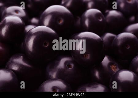 Frische reife acai-Beeren als Hintergrund, Nahaufnahme Stockfoto