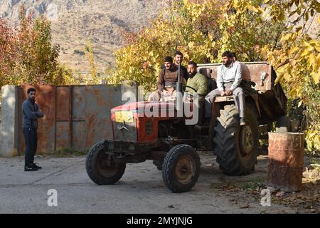 Fünf Männer fahren auf einem alten, roten Traktor in einem Dorf im Nordirak. Stockfoto