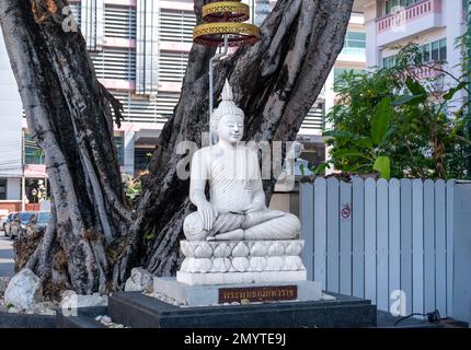 Nahaufnahme der Buddha-Skulptur im Tempel. Shakyamuni Buddha ist spiritueller Lehrer, eine von drei Weltreligionen. Vorname: Siddhartha Gautama Siddhattha Stockfoto