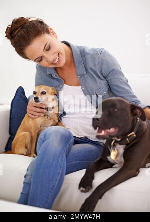 Hunde sind auch eine beste Freundin von Frauen. Eine schöne Frau, die ihre Hunde auf der Couch kuschelt. Stockfoto