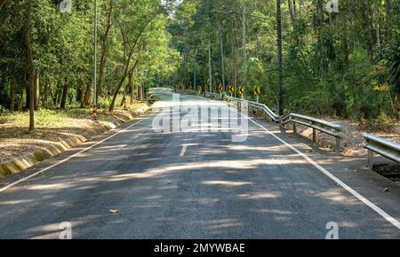 Asphaltstraße im Wald. Gewölbte Straße, Bäume mit grünem Laub an sonnigen Tagen. Landschaft mit leerer Asphaltstraße durch Wälder im Sommer Stockfoto