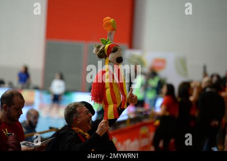 Vibo Valentia, Italien. 04. Februar 2023. Tonno callipo-Fans beim Del Monte Italian Cup A2 Männerfinale – Tonno Callipo Vibo Valentia vs. BCC Castellana Grotte, italienischer Volleyball Men Cup in Vibo Valentia, Italien, Februar 04 2023 Kredit: Independent Photo Agency/Alamy Live News Stockfoto