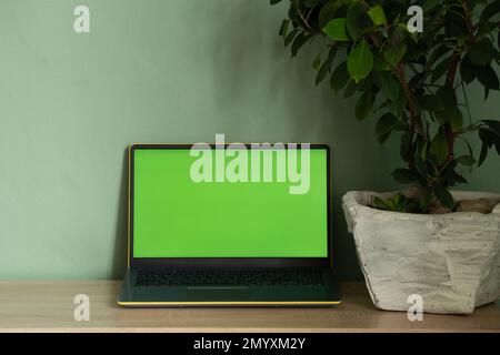 Laptop mit grünem Bildschirm und einer Ficus-Blume in einem Topf auf einem Tisch Stockfoto