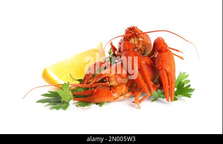 Köstliche rote gekochte Flusskrebse mit Zitrone und Petersilie isoliert auf Weiß Stockfoto