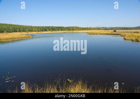 Hebei-chengde-Bashang-Grasland Stockfoto