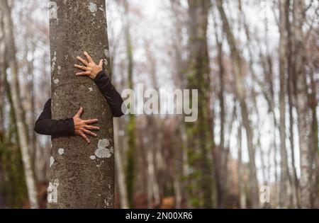 Die Arme einer Frau umschließen den Stamm eines Baumes. Eine Person in direktem Kontakt mit der Natur und dem Wald. Balneotherapie. Stockfoto