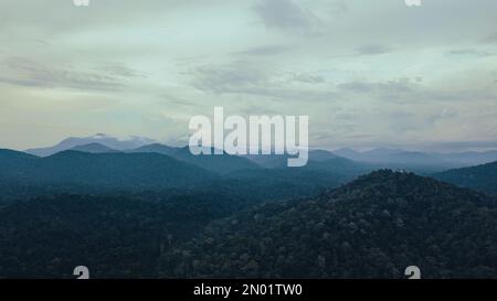 Luftaufnahme von Nebel und Nebel über einem üppigen tropischen Regenwald am Morgen. Stockfoto