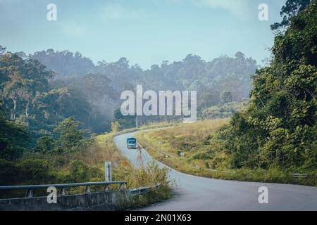 Lastwagen auf der Straße in der Nähe des Regenwaldes. Stockfoto