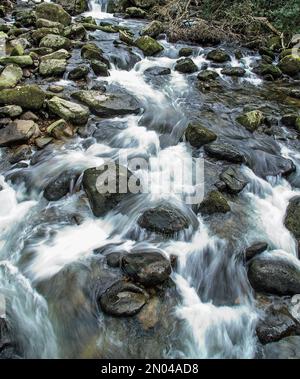 Foto Illustration The River Plym an der Shaugh Bridge in Dewerstone Woods am Rand von Dartmoor in South Devon. Eine lange Belichtung mit Wasserdurchfluss-Erfassung Stockfoto