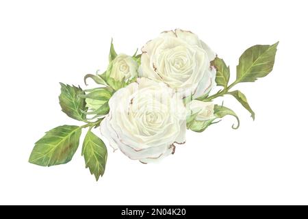 Weiße Rosen mit Laubzusammensetzung. Aquarell-Illustration. Isoliert auf weißem Hintergrund. Für das Design von Aufklebern, Geschirr, Grußkarte, Schreibwaren, Stockfoto