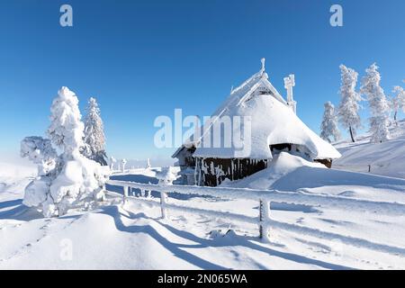 Wunderschöne traditionelle Schäferhütte aus Holz bedeckt mit frischem Schnee an wunderschönen sonnigen Wintertagen auf der Alpenwiese Velika planina in den slowenischen alpen Stockfoto