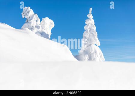 Wunderschöne Landschaft nach starkem Schneefall auf der velika planina Almweide märchenhafte Winterlandschaft, verschneite Bäume, minimalistische Landschaft Stockfoto