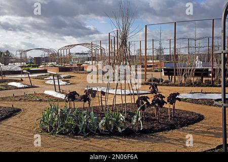 Grünkohl und Lauch wachsen im Gemüsegarten im Wisley RHS Garden Surrey England Stockfoto