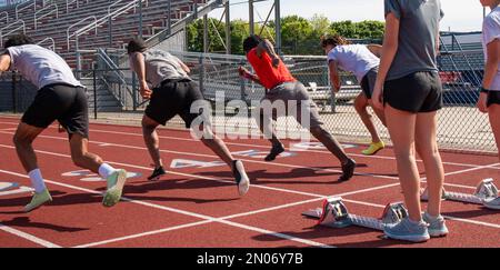 Vier Highschool-Sprinter starten ein Rennen von den Startblöcken mit Helfern, die auf ihren Blöcken stehen. Stockfoto