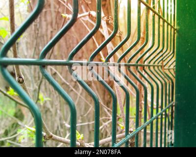 Stahlgitterzaun aus Draht in der Feder. Stahlgitterzaun Fußballfeld, Metalldrahtzaun mit Bäumen im Hintergrund Stockfoto