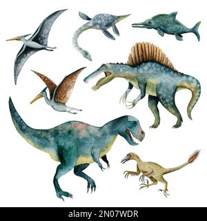 Aquarell-Dinosaurier-Illustration mit räuberischen Tyrannosauriern, Spinosauriern, fliegenden Dinosauriern und Velociraptor isoliert auf weißem Hintergrund Stockfoto