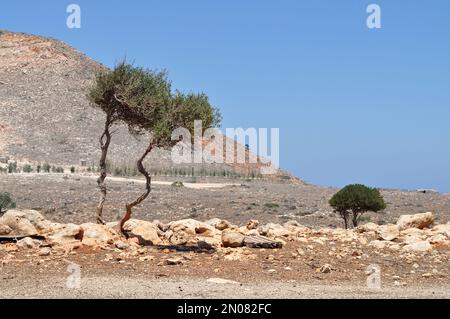 Felsige Landschaft an der Küste der Insel Kreta. Stockfoto